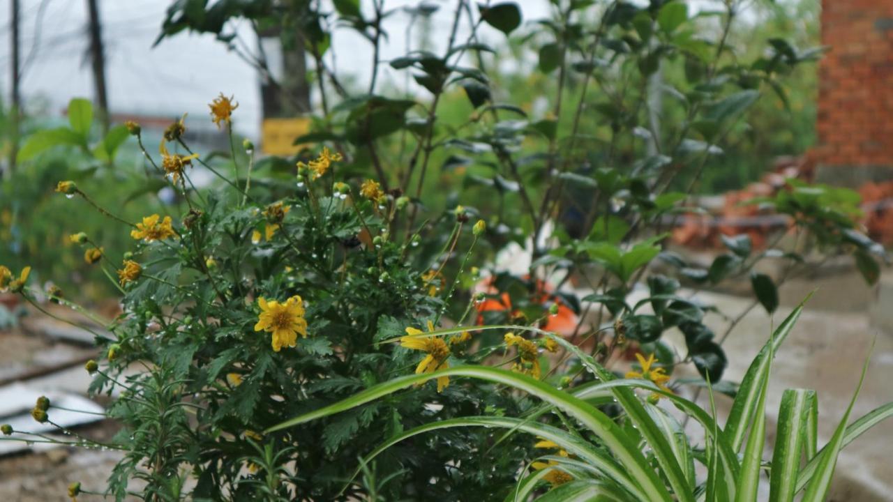 Komori House Bed and Breakfast Dalat Exteriör bild